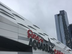 -瑞普利水族馆