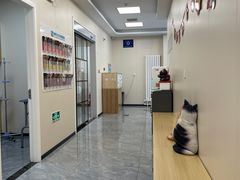 -美联众合爱康动物医院•复杂内科•肿瘤科•牙科•腔镜诊疗中心