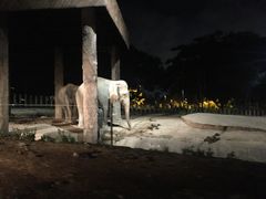 -清迈夜间动物园