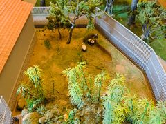 -北京动物园-畅观楼