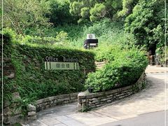 -深圳仙湖植物园-停车场