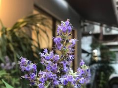 -Kekimatata 生日蛋糕·烘焙教学