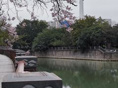 -成都市活水公园
