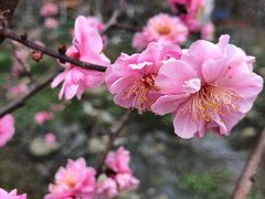 景点-秀丽东方