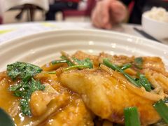 -清新鸡沙田乳鸽店(金融店)