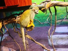 -华夏文旅海洋公园