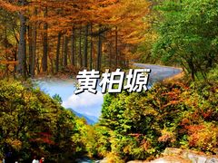 -沣峪口