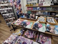 -Animate(秋叶原本馆)