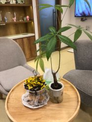 -塑青春&伊肤泉祛痘皮肤管理