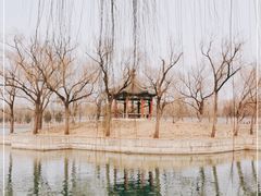 -颐和园