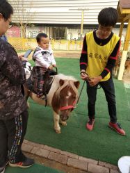 -萌宠亲子动物乐园(槐房万达店)