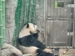 -北京海洋馆