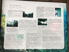 -花岩国家森林公园