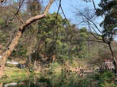 -岳麓山风景名胜区