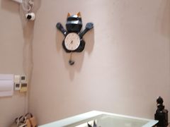 -飞行喵MR PILOT|猫舍·猫咖(静安大融城店)