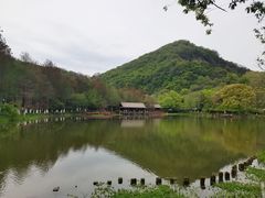 -八卦田遗址公园