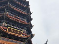 -铁山坪森林公园