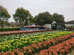 -广东花都香草世界旅游度假区