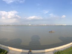-大湾区中央湿地公园