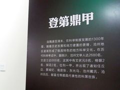 -沧州文庙