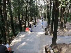 -田园山庄农家乐(石岩店)