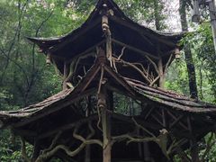 -青城山