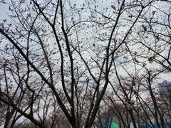 -龙美术馆(西岸馆)