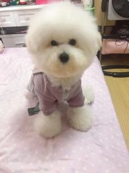 -明星刺青·洗纹身