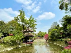 -桂湖森林公园
