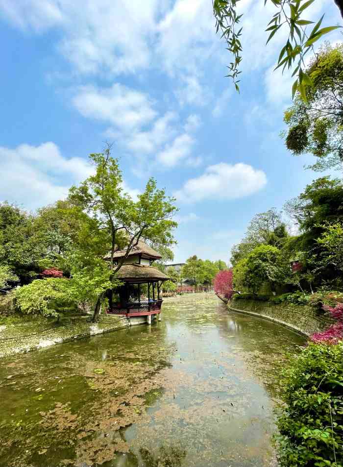 桂湖森林公园-"在新都待了很多年一直没时间去老桂湖公园逛.