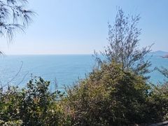 -广东惠东海龟国家级自然保护区