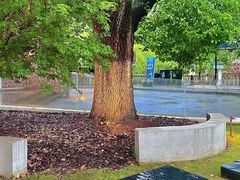 -J Create城市露营咖啡·简餐·宠物(上海动物园店)