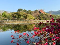 -大屏嶂森林公园