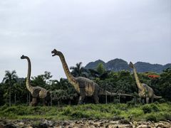 -龙谷湾旅游休闲度假区