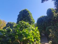 -郑州植物园