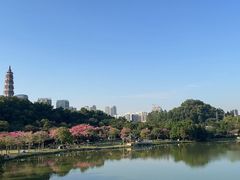 -顺峰山公园