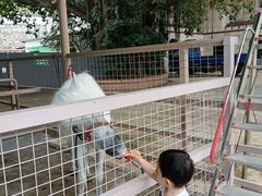 -深圳野生动物园