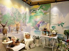 -蝶舍·MAISON PAPILLON