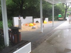 -兰溪青年公园