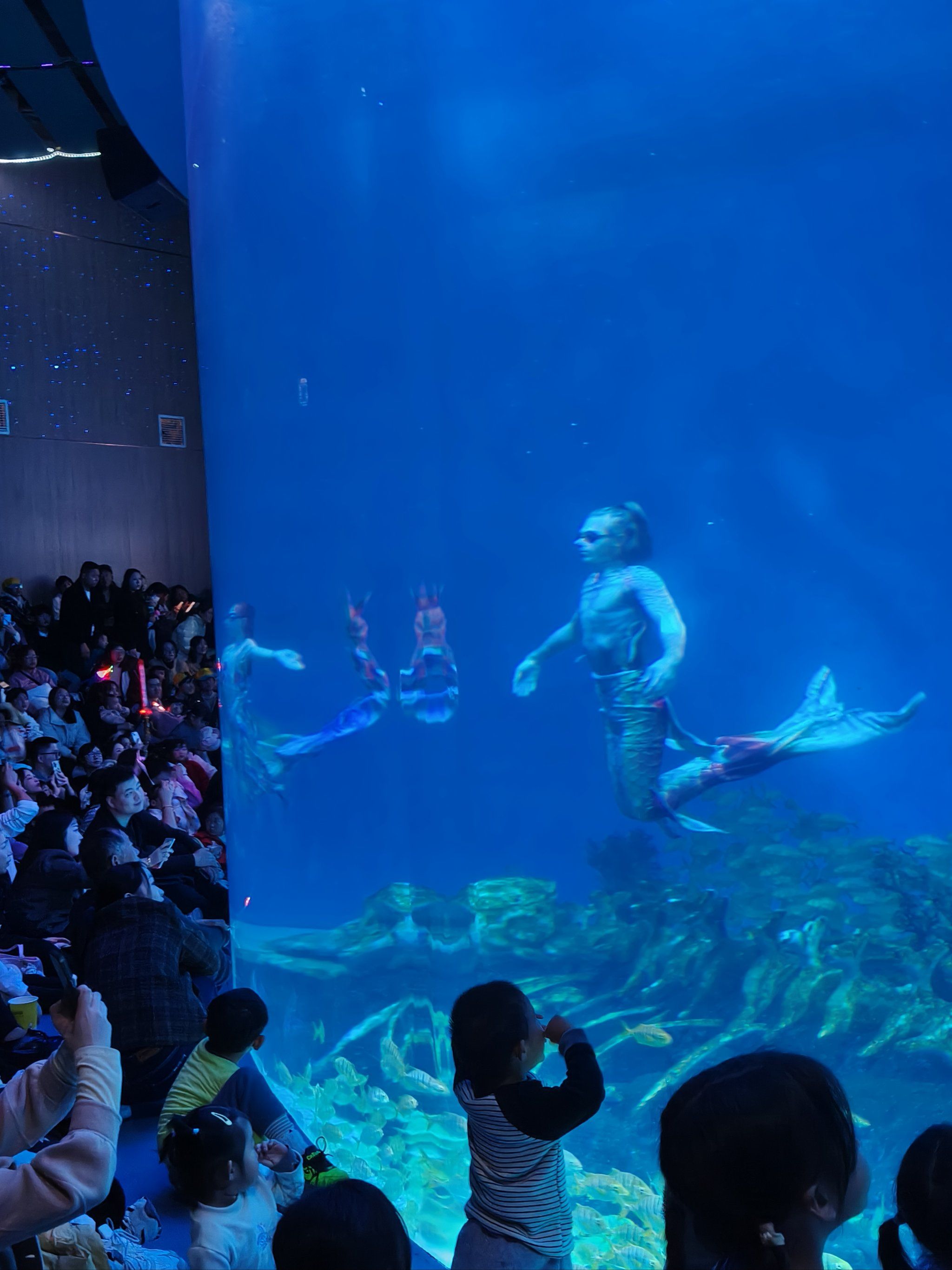 合肥海洋馆美人鱼表演很精彩,深受大家的喜欢!