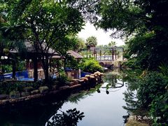 -厦门日月谷温泉渡假村