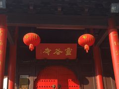 -灵谷景区