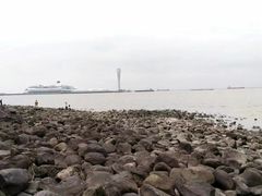 -上海吴淞炮台湾国家湿地公园