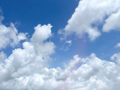 -莲欢海蛎煎