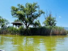 -野鸭湖国家湿地公园