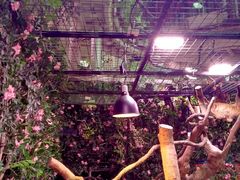 -正佳雨林生态植物园