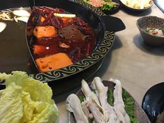 -苏州金科大酒店