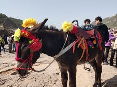 -陕西黄河壶口瀑布旅游区