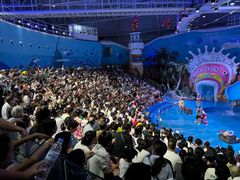 -烟台海昌鲸鲨海洋公园