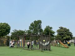 -苏州太湖西山岛开心农场